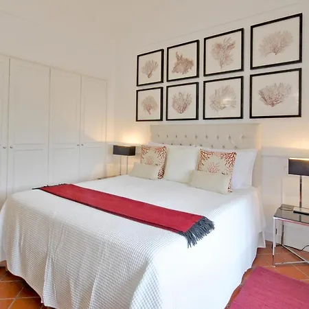 Διαμέρισμα Carthusia