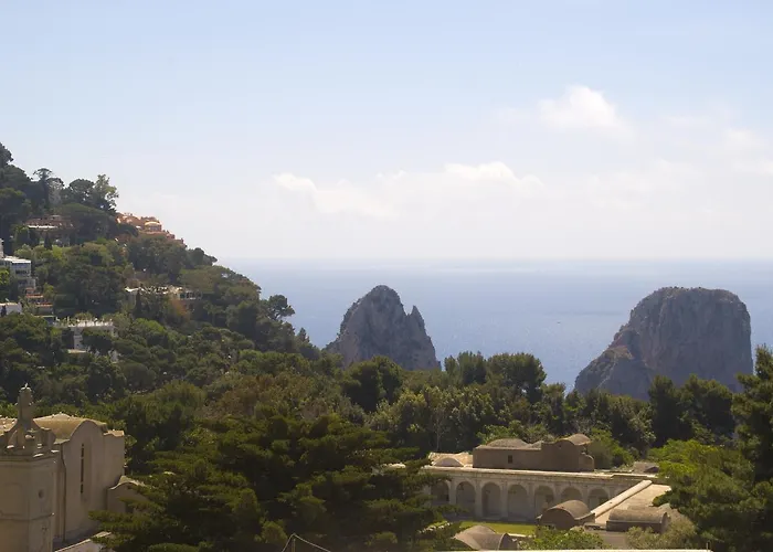 Carthusia Daire Capri